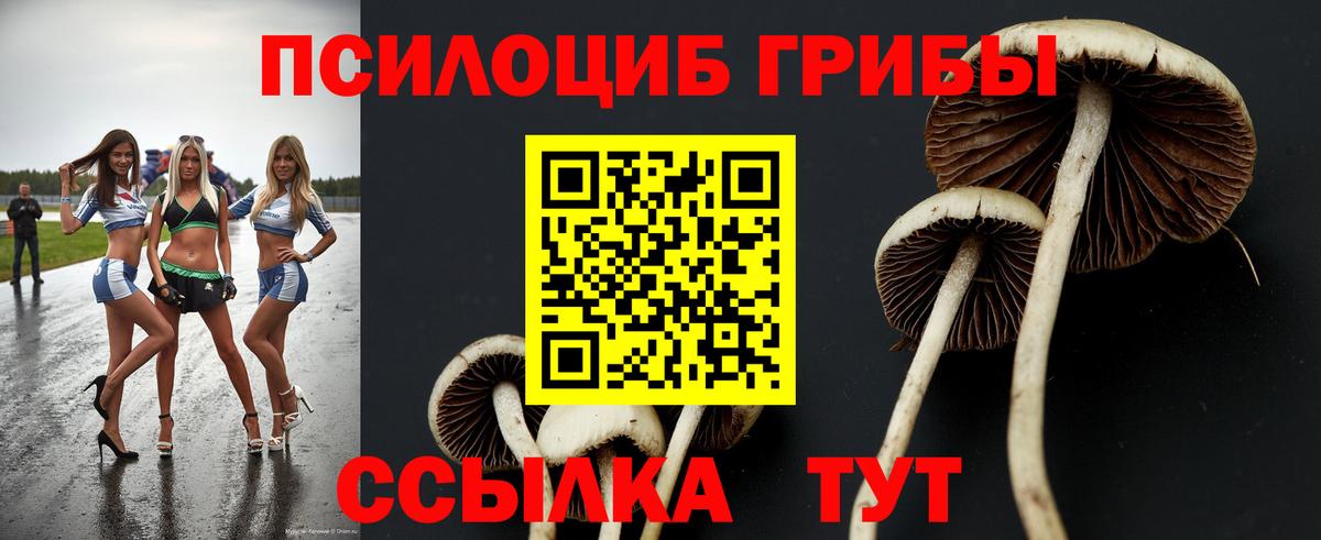 Галлюциногенные грибы GOLDEN TEACHER  Вход с VPN  Комсомольск-на-Амуре  Псилоцибиновые грибы Psilocybine cubensis 